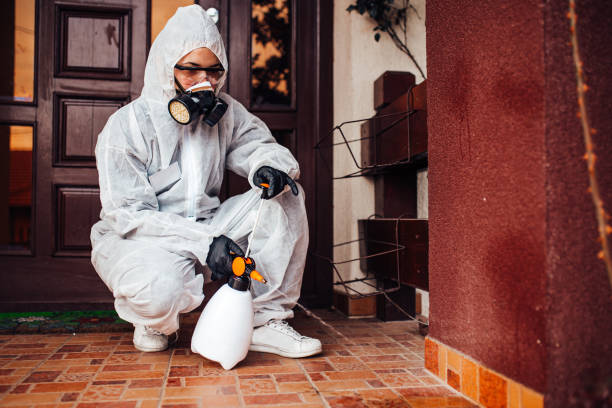 Attic and Crawl Space Rodent Treatment in Fisher