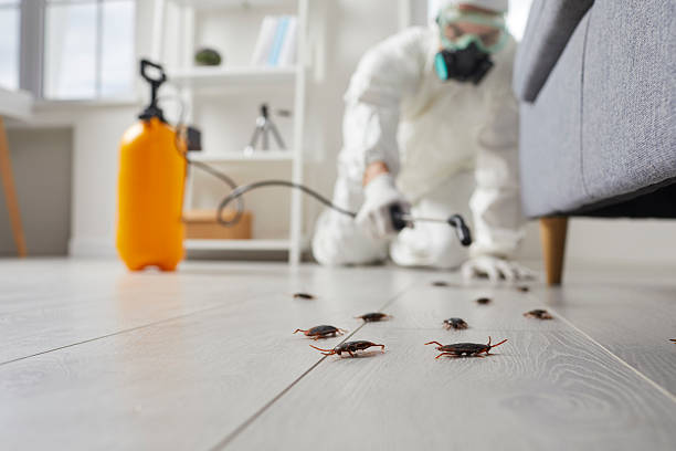 Commercial Rodent Management in Fisher